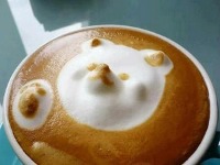 latte j