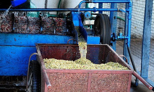 pulping ex