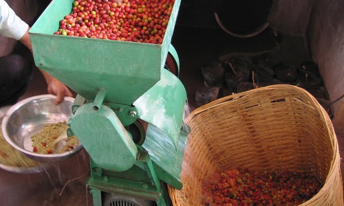 pulping fx