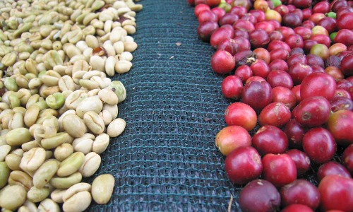 pulping k 2
